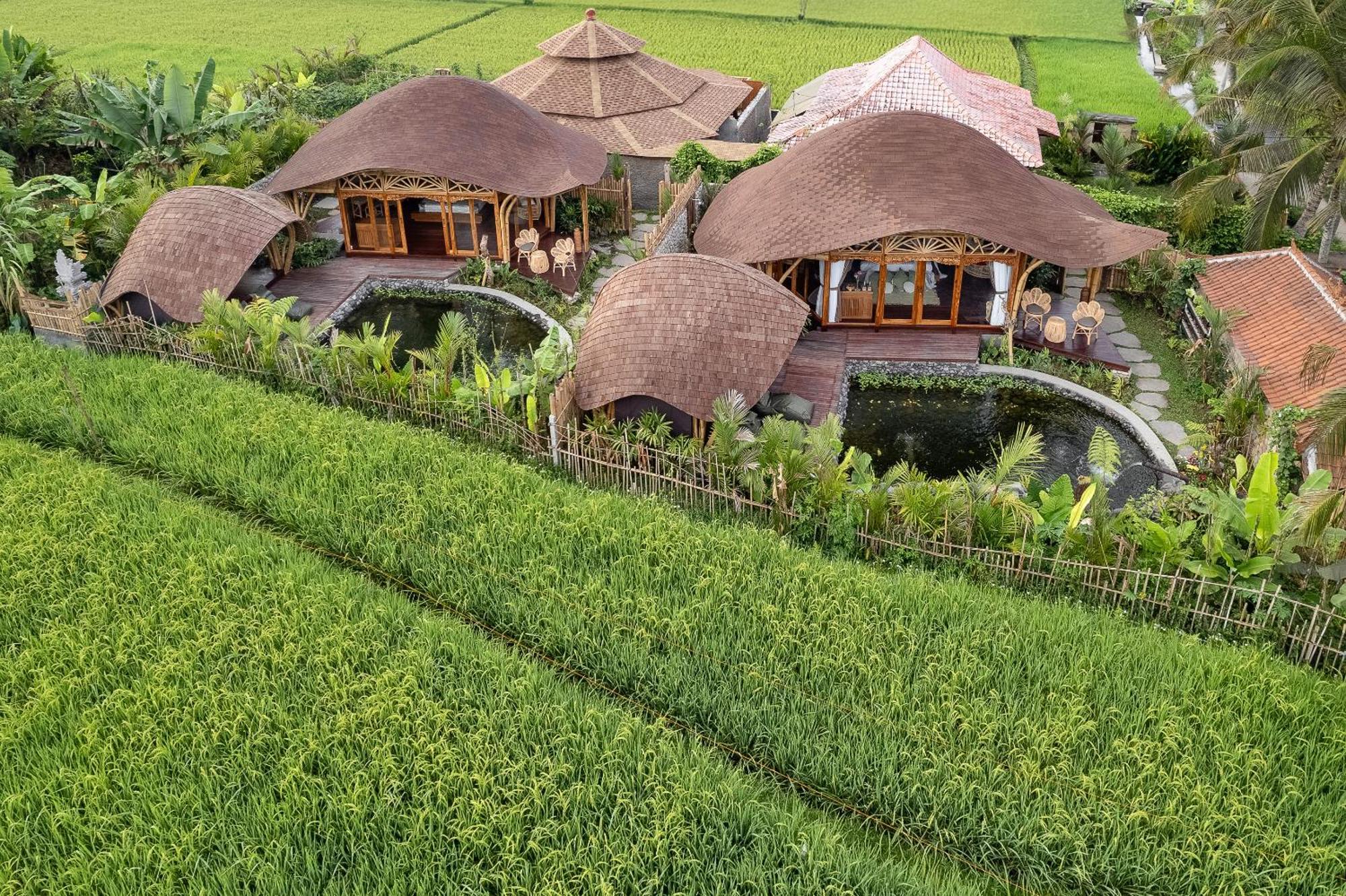 Arapan Ubud Eco Villa Экстерьер фото