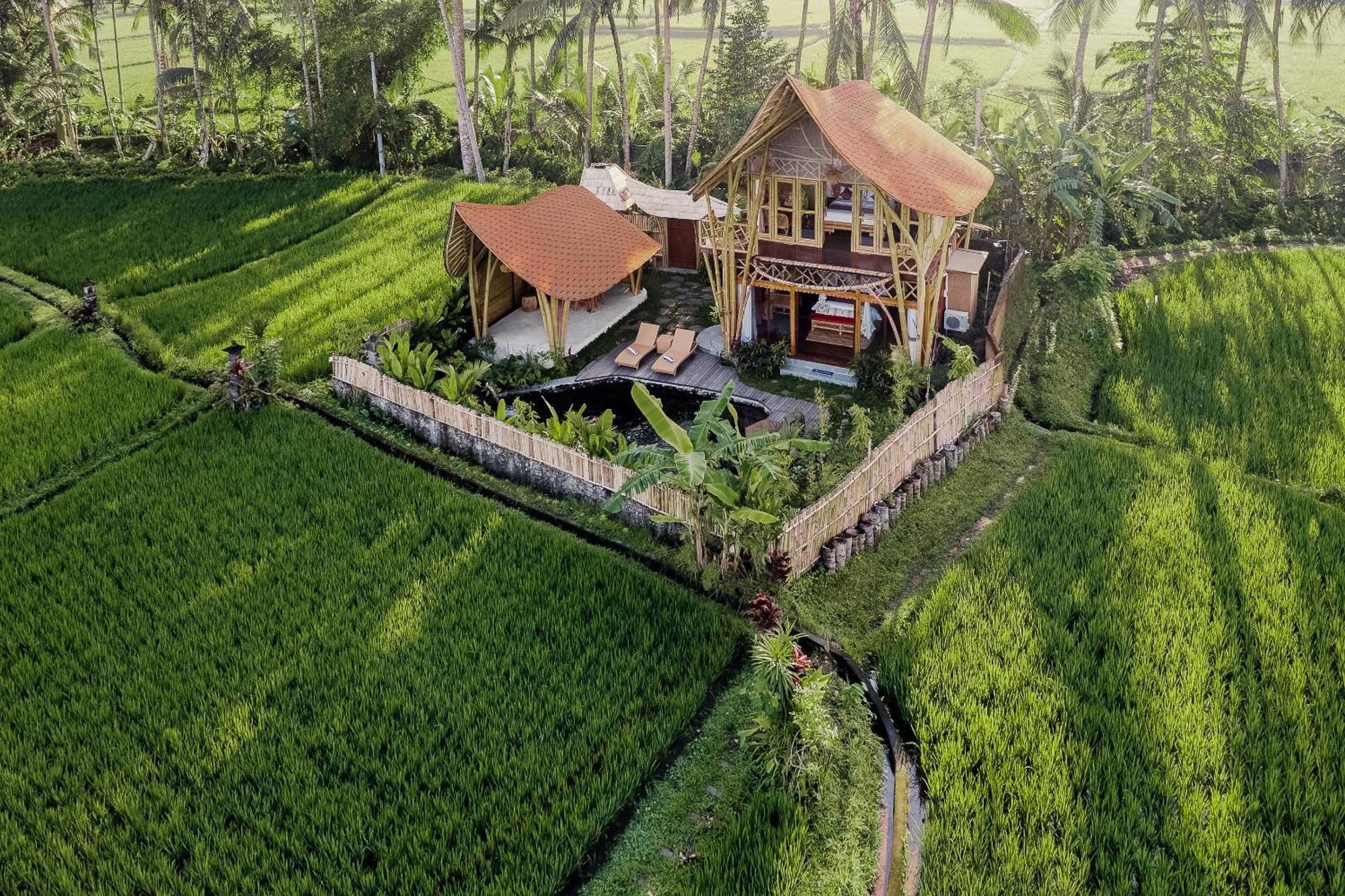 Arapan Ubud Eco Villa Экстерьер фото